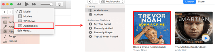 Finding Audible Books on iTunes